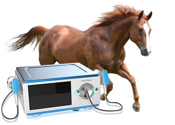 Máquina focalizada da terapia da inquietação do cavalo do transmissor para a dor nas costas do cavalo